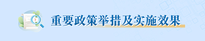重要政策舉措及實施效果